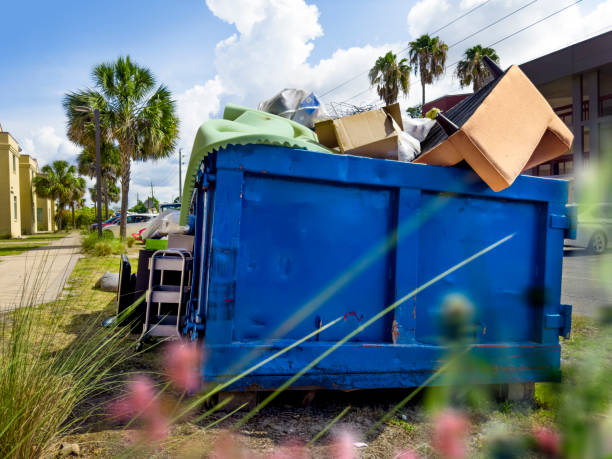 Yard Cleanup Services in Rosaryville, MD